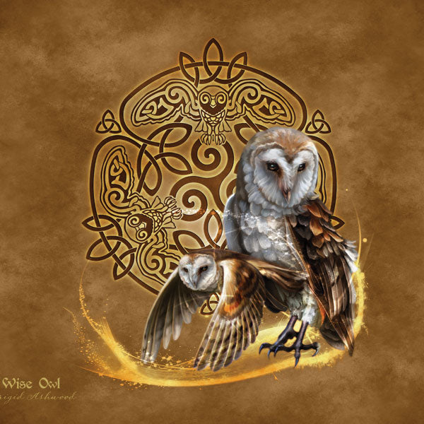 Owl Celtic Knot by Brigid Ashwood MacBook Cases