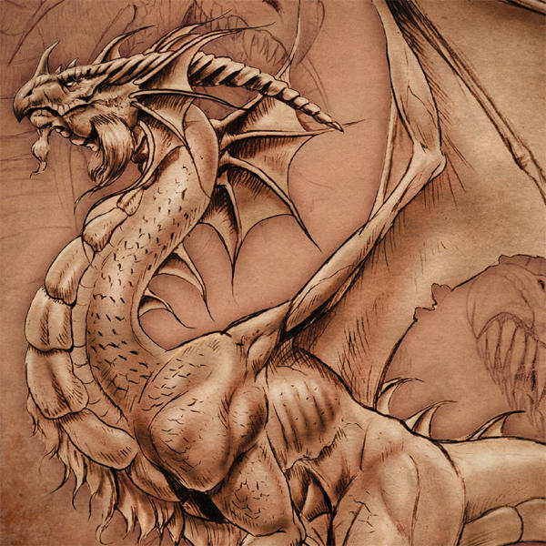 Dragon Parchment by Tom Wood Xbox Series X Skins
