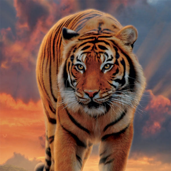 Rising Tiger by Vincent Hie MacBook Cases