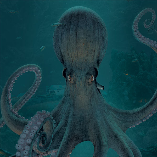 Giant Octopus by Vincent Hie MacBook Cases