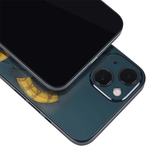 Boa Constrictor by Vincent Hie iPhone Skins