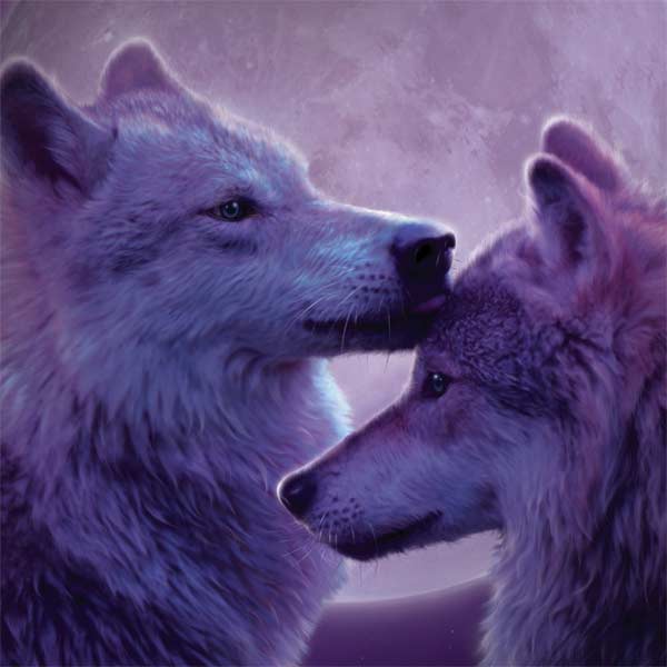 Loving Wolves by Vincent Hie Laptop Skins