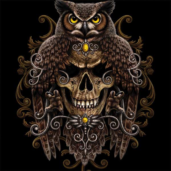 Skull and Owl by Sarah Richter Laptop Skins