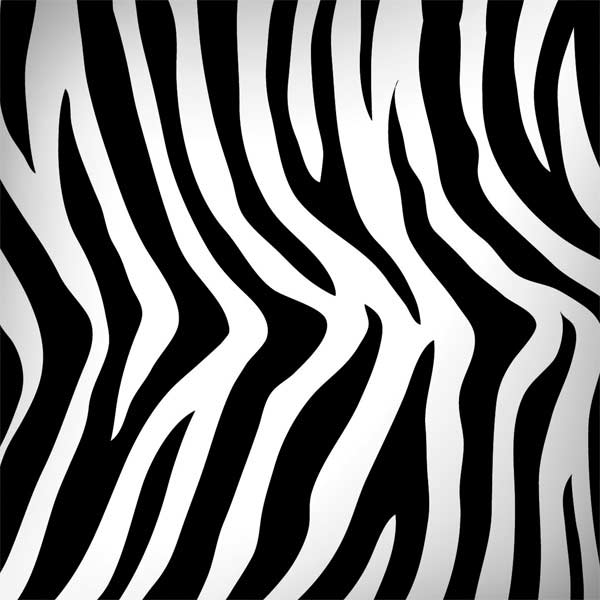 Zebra Print Laptop Skins